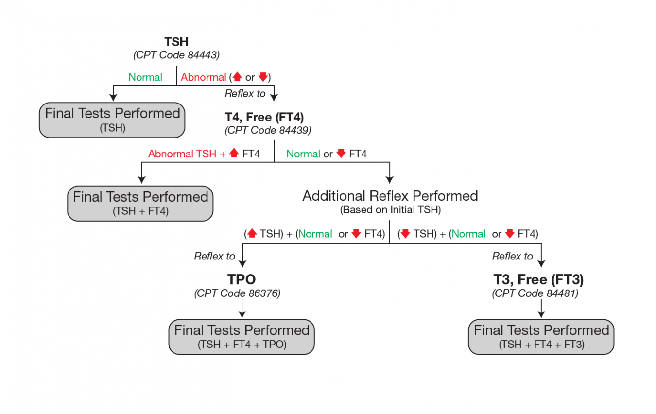 thyroid-cascading-reflex-cleveland-heartlab-inc